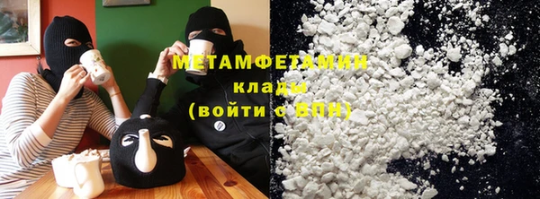 мет Алексин