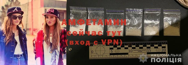 прущие грибы Медногорск